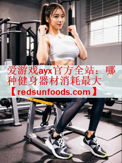 <strong>爱游戏ayx官方全站：哪种健身器材消耗最大</strong>