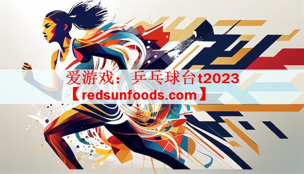 爱游戏：乒乓球台t2023