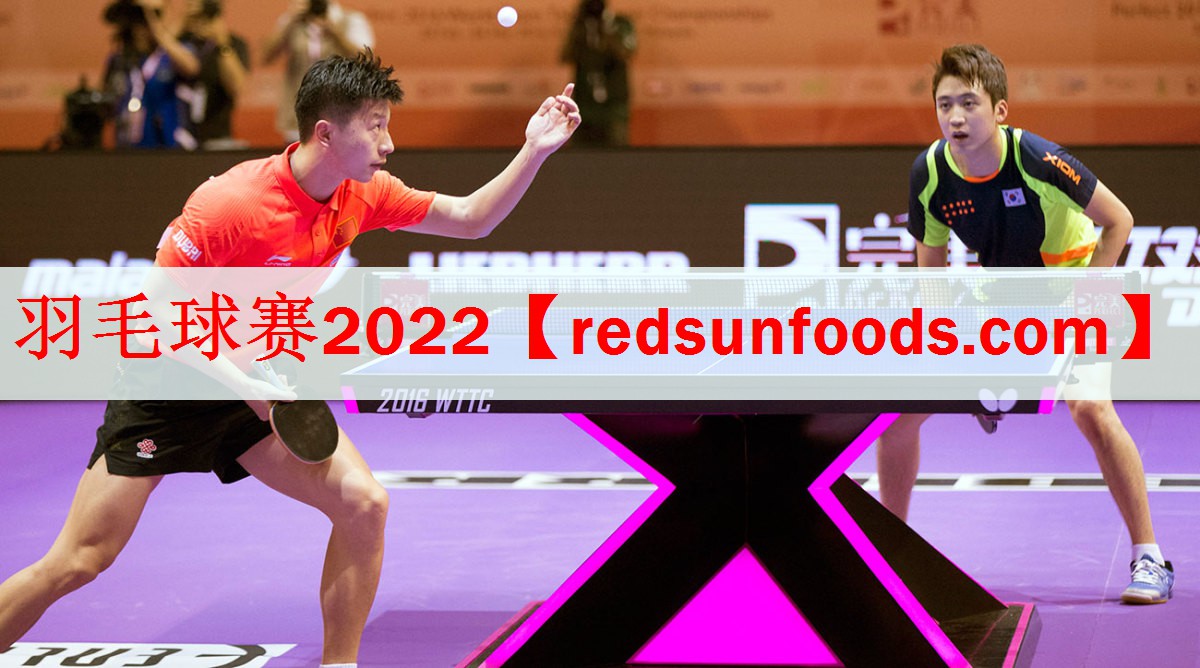 羽毛球赛2022