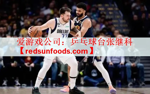 乒乓球台张继科