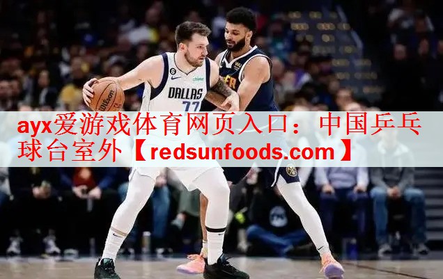 中国乒乓球台室外