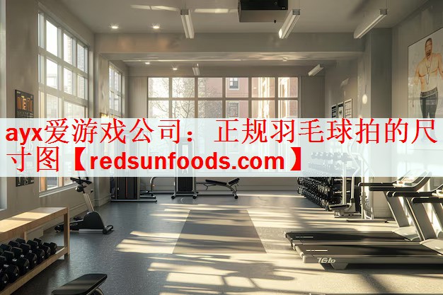 正规羽毛球拍的尺寸图